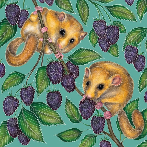 Greetings Card